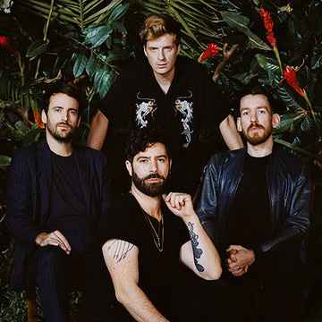 Foals