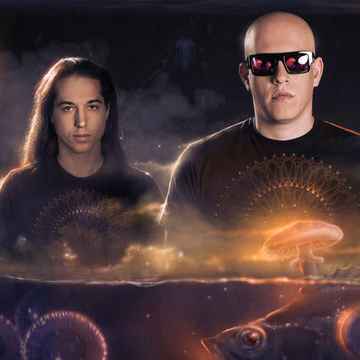 Infected Mushroom