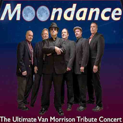 Moondance - Van Morrison Tribute